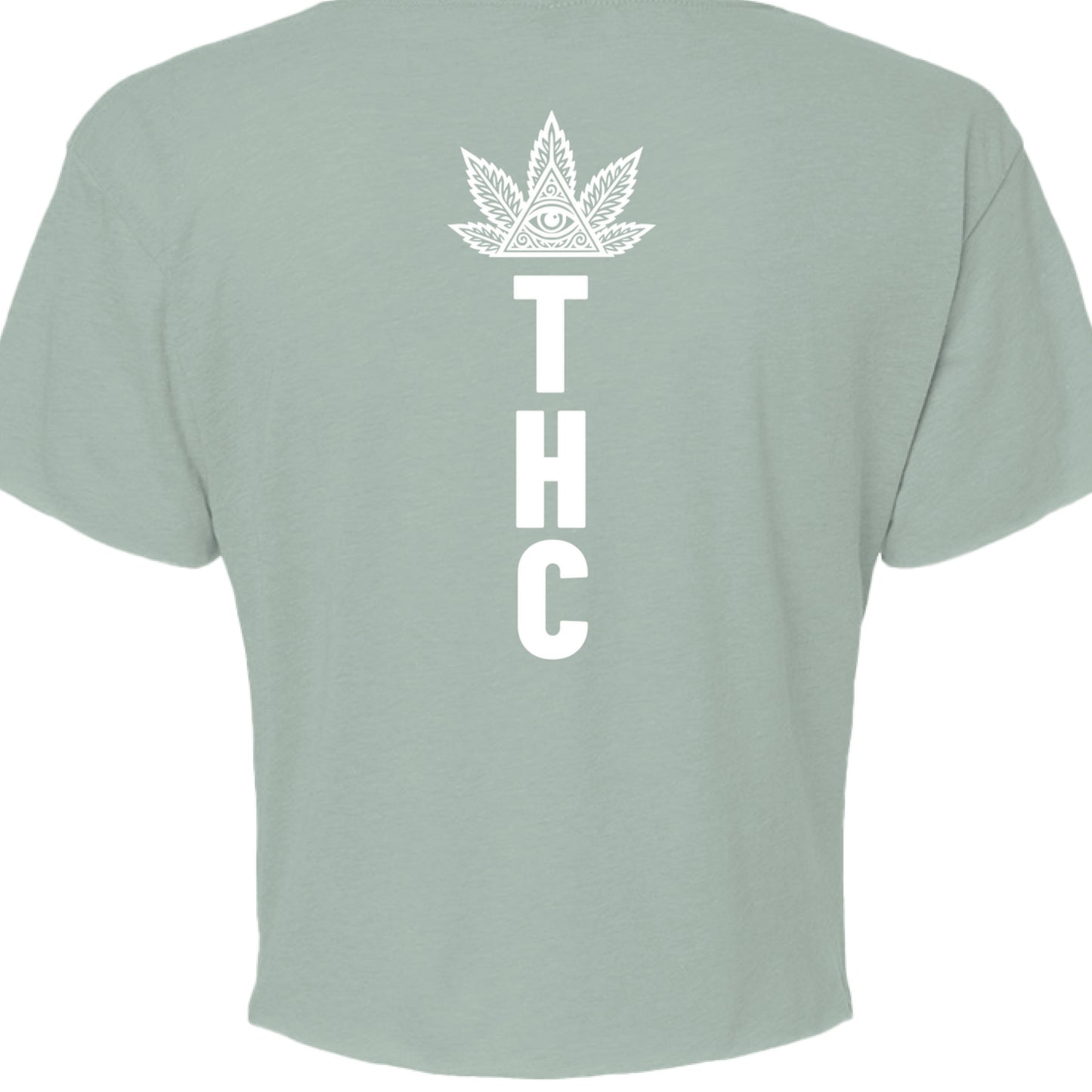 STONEWASH GREEN - BACK