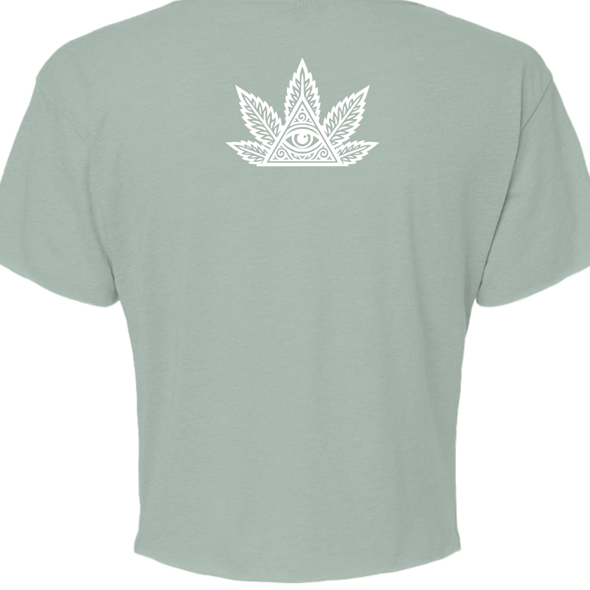 STONEWASH GREEN - BACK